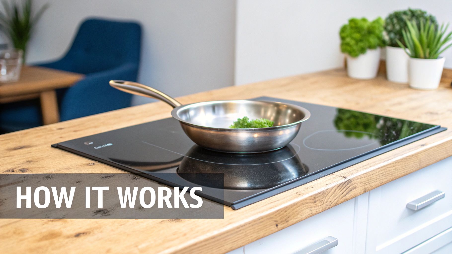 A stainless steel pan with green herbs sits on a sleek black induction cooktop in a modern kitchen.