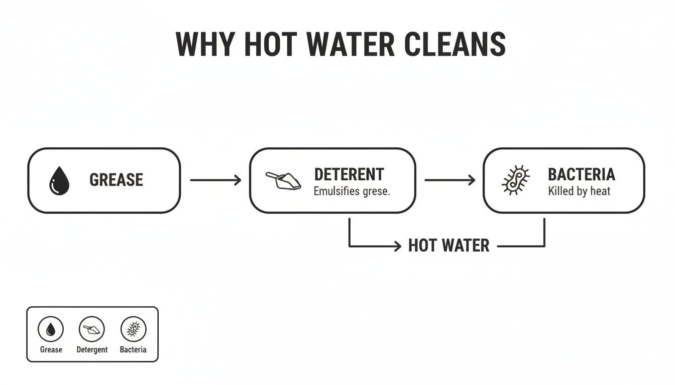 Diagram illustrating how hot water and detergent clean by emulsifying grease and killing bacteria.