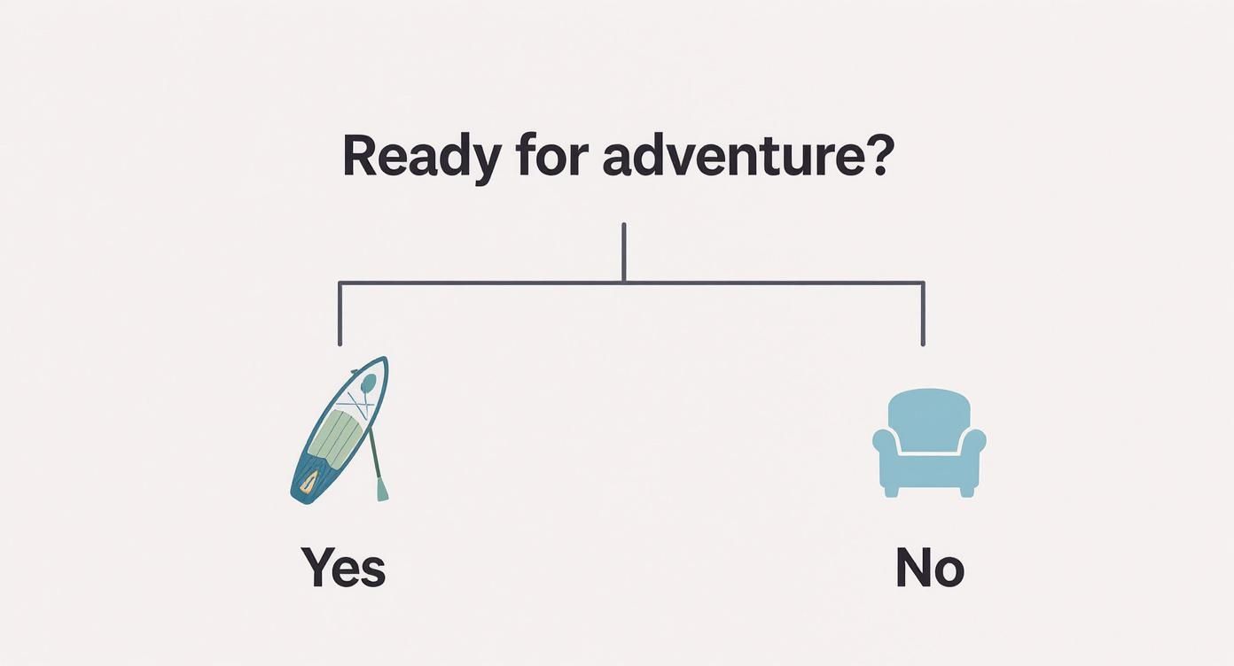 Infographic about paddle boards for beginners