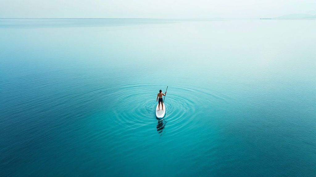 A person enjoying stand up paddle boarding on a calm river with trees in the background
