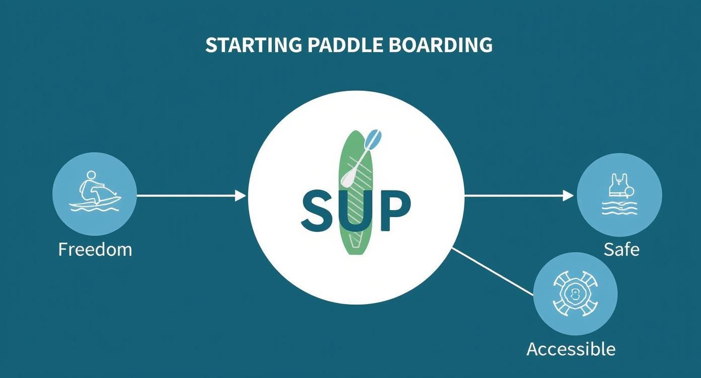 Infographic about beginner paddle board
