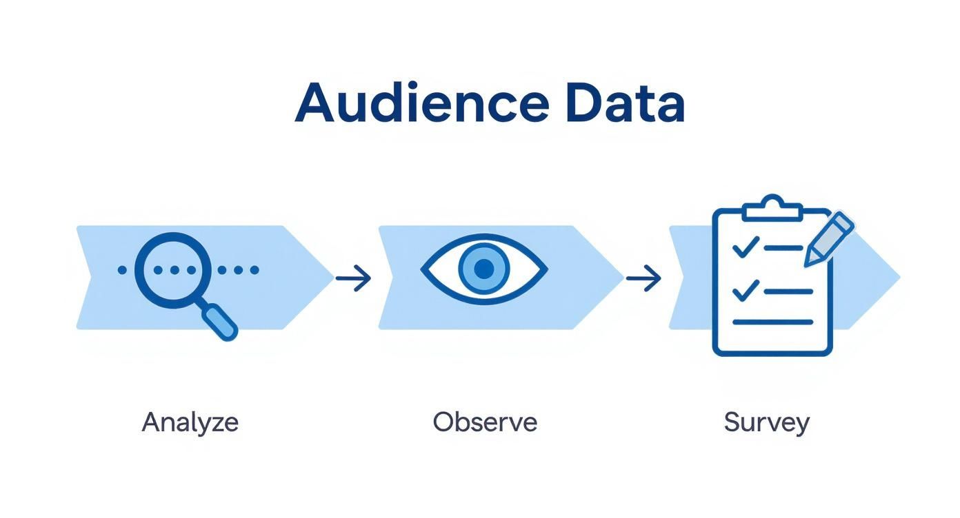 Infographic showing a 3-step process for audience data: Analyze, Observe, and Survey.
