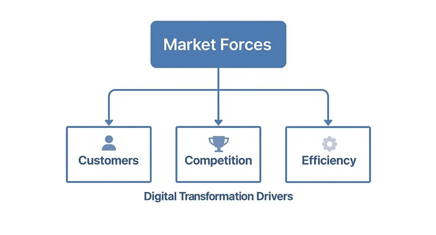 Infographic about digital transformation for enterprises