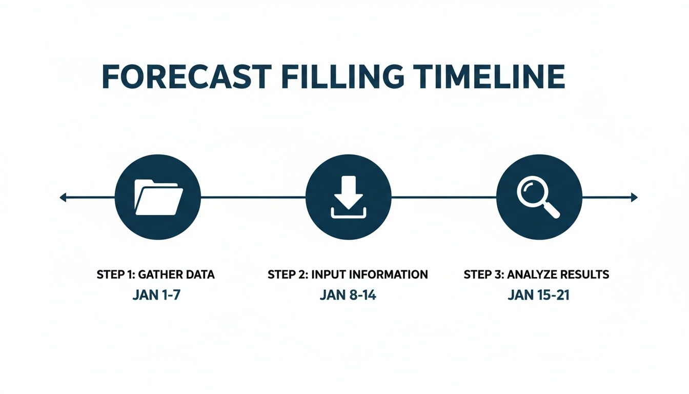 Timeline diagram illustrating a forecast filling process in three steps: gather data, input information, and analyze results, with dates in January.