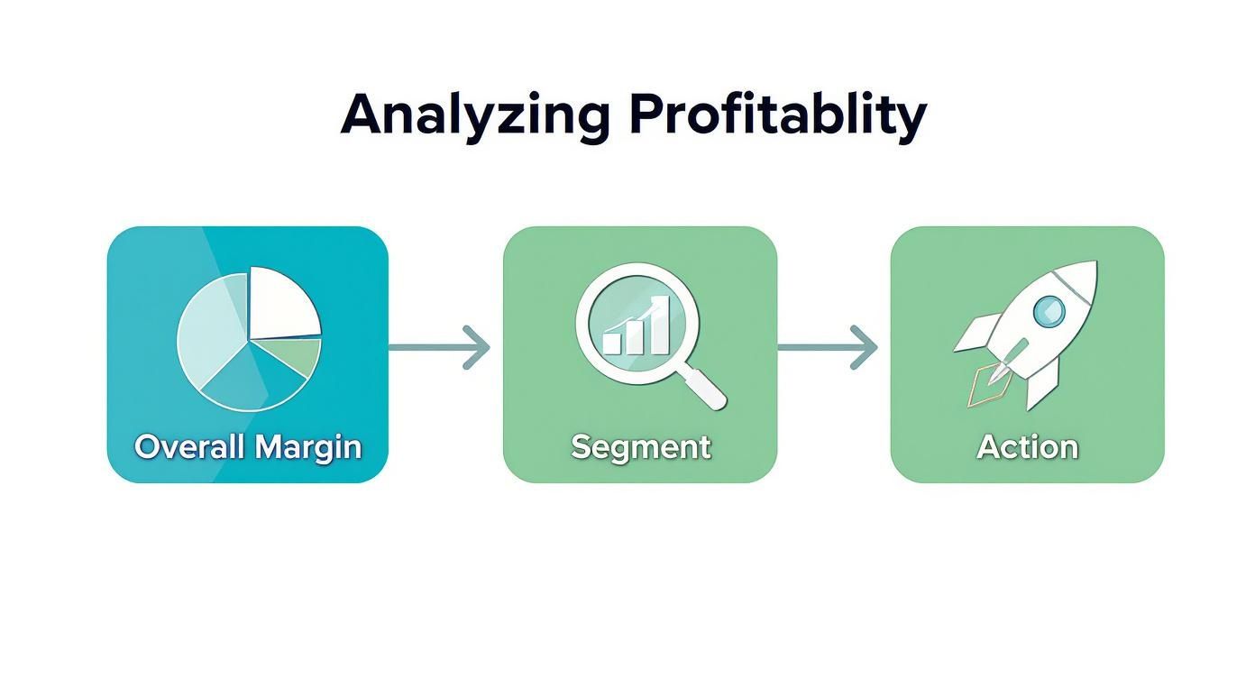 A diagram illustrating three steps to analyzing profitability: overall margin, segment analysis, and taking action.