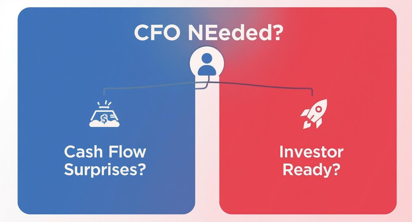 Infographic asking if a CFO is needed, linking cash flow surprises and investor readiness.