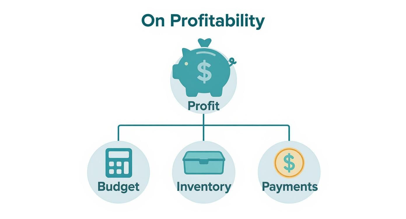 A diagram illustrating profitability with profit, budget, inventory, and payments concepts.