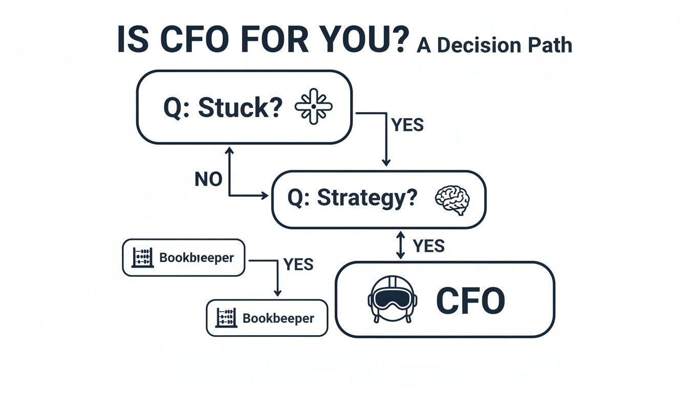 A decision path flowchart helping businesses determine if they need a CFO or a bookkeeper.
