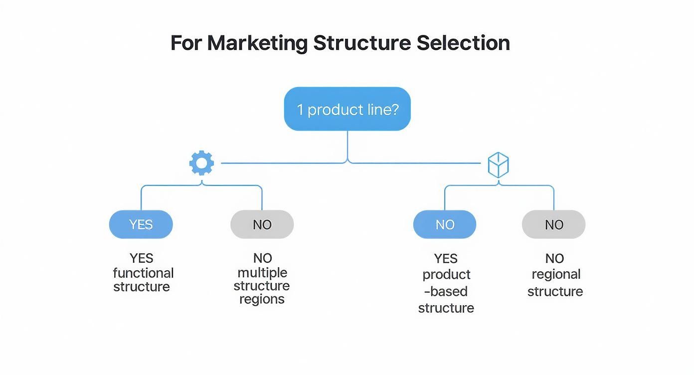 Decision tree for marketing structure selection, guiding through functional, product-based, and regional options based on product lines.