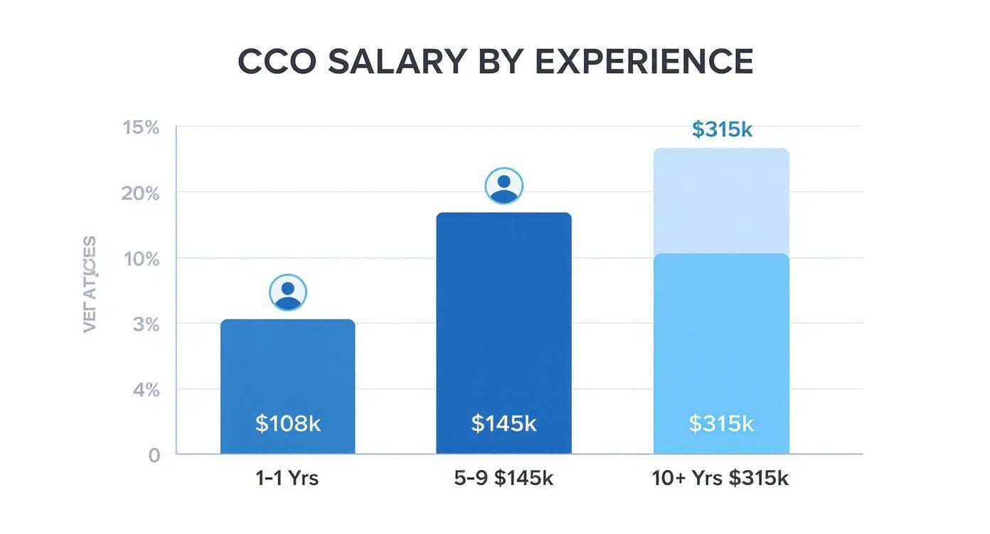 Bar chart showing Chief Creative Officer salary by experience: 1-1 years at $108k, 5-9 years at $145k, 10+ years at $315k.