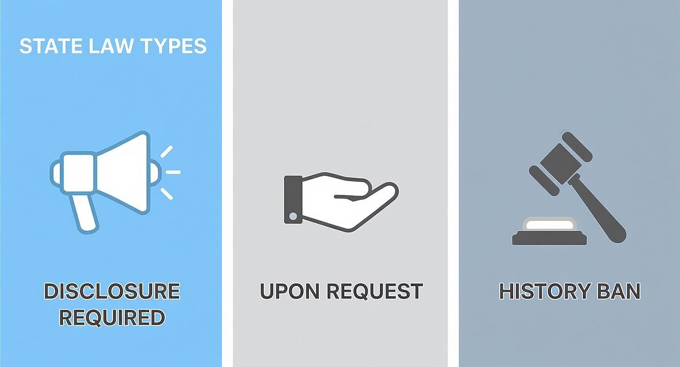 Infographic displaying three types of state pay transparency laws: Disclosure Required, Upon Request, History Ban.