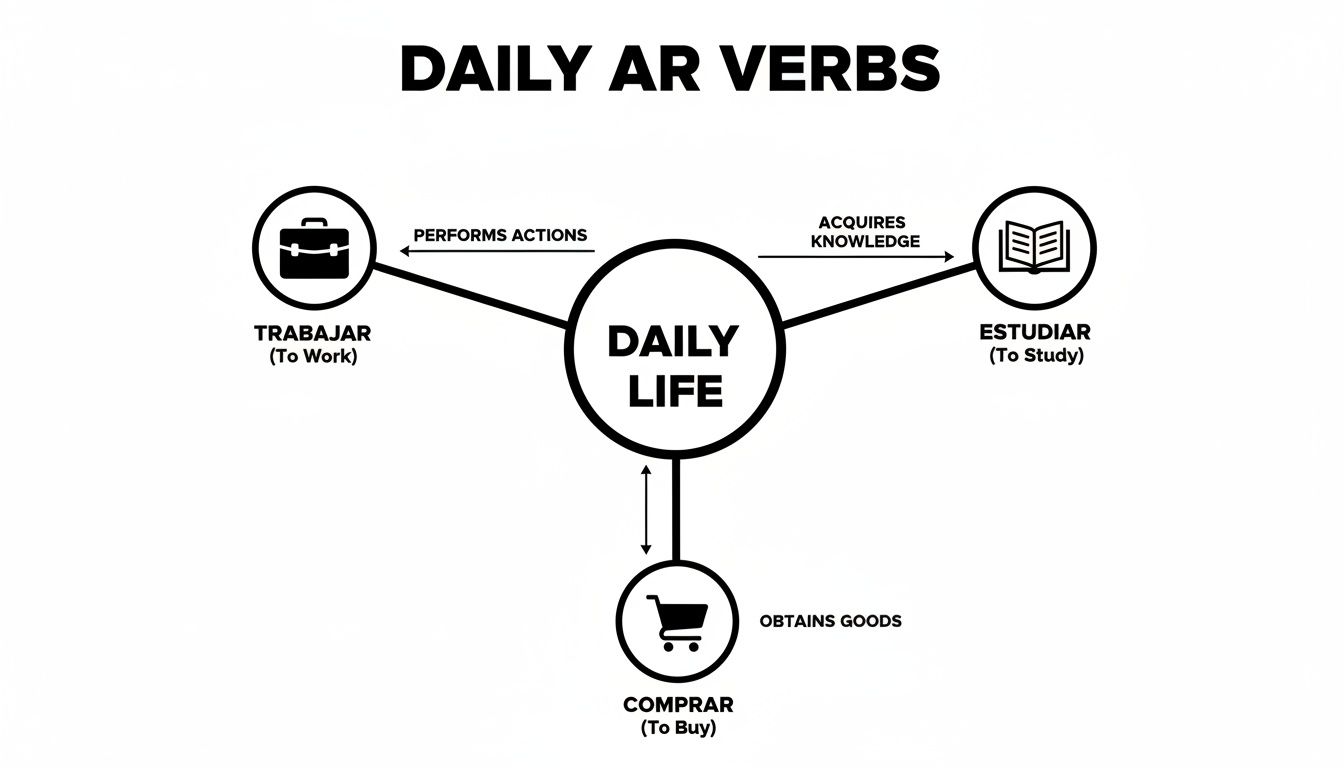 A diagram illustrating daily AR verbs (trabajar, estudiar, comprar) and their connection to daily life.