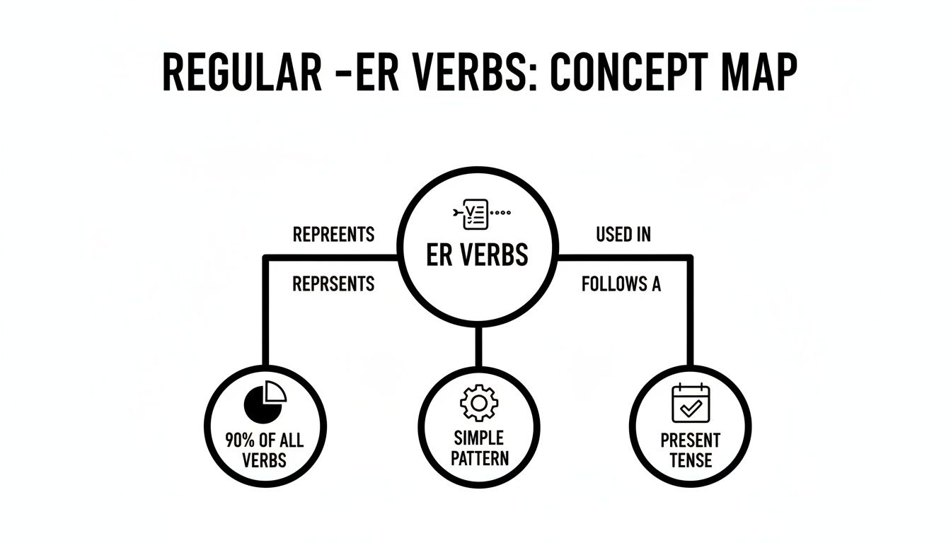 Concept map explains regular -ER verbs, highlighting their frequency, simple pattern, and use in present tense.