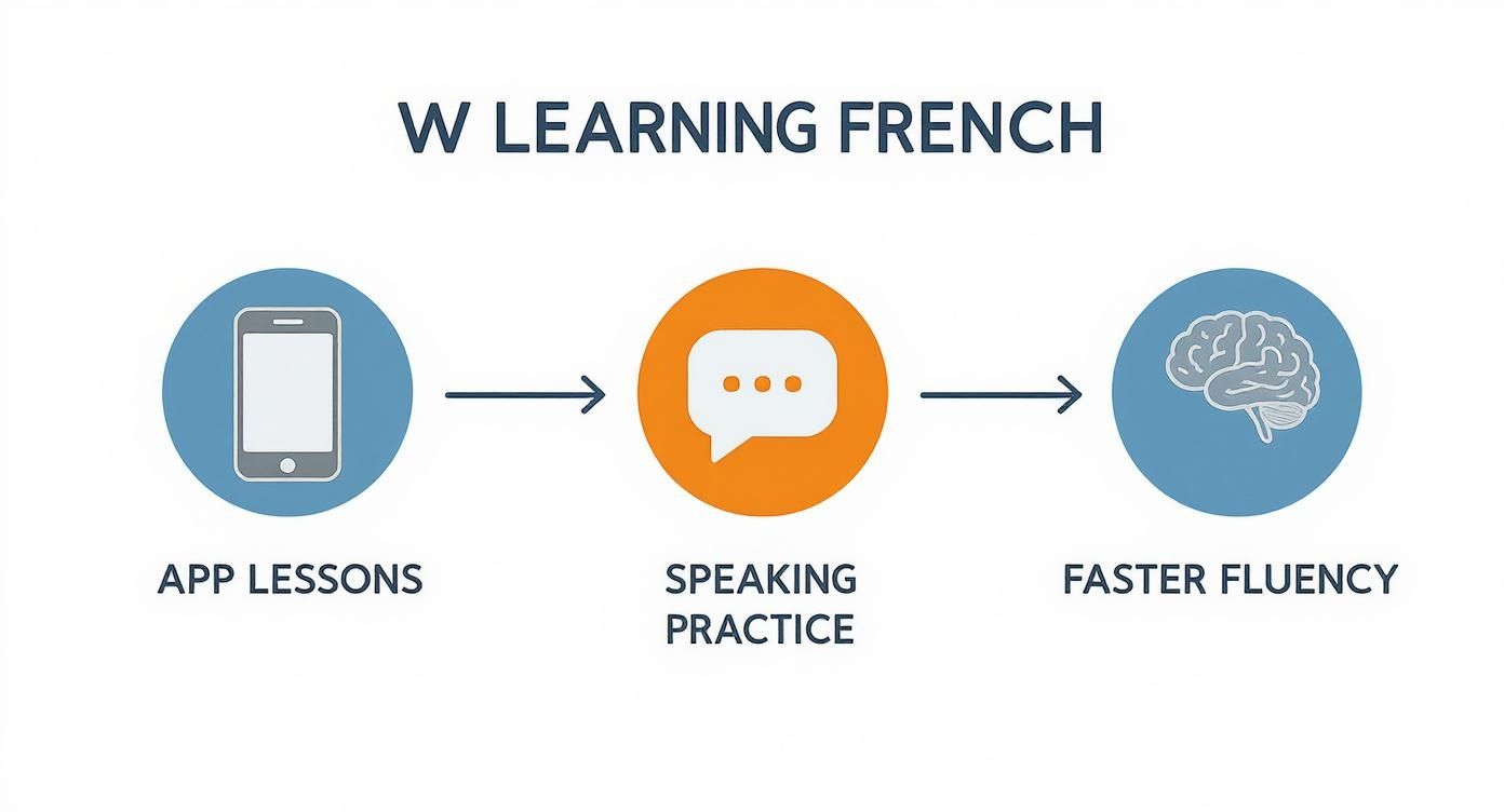 A flowchart demonstrating a method for learning French: app lessons, speaking practice, leading to faster fluency.