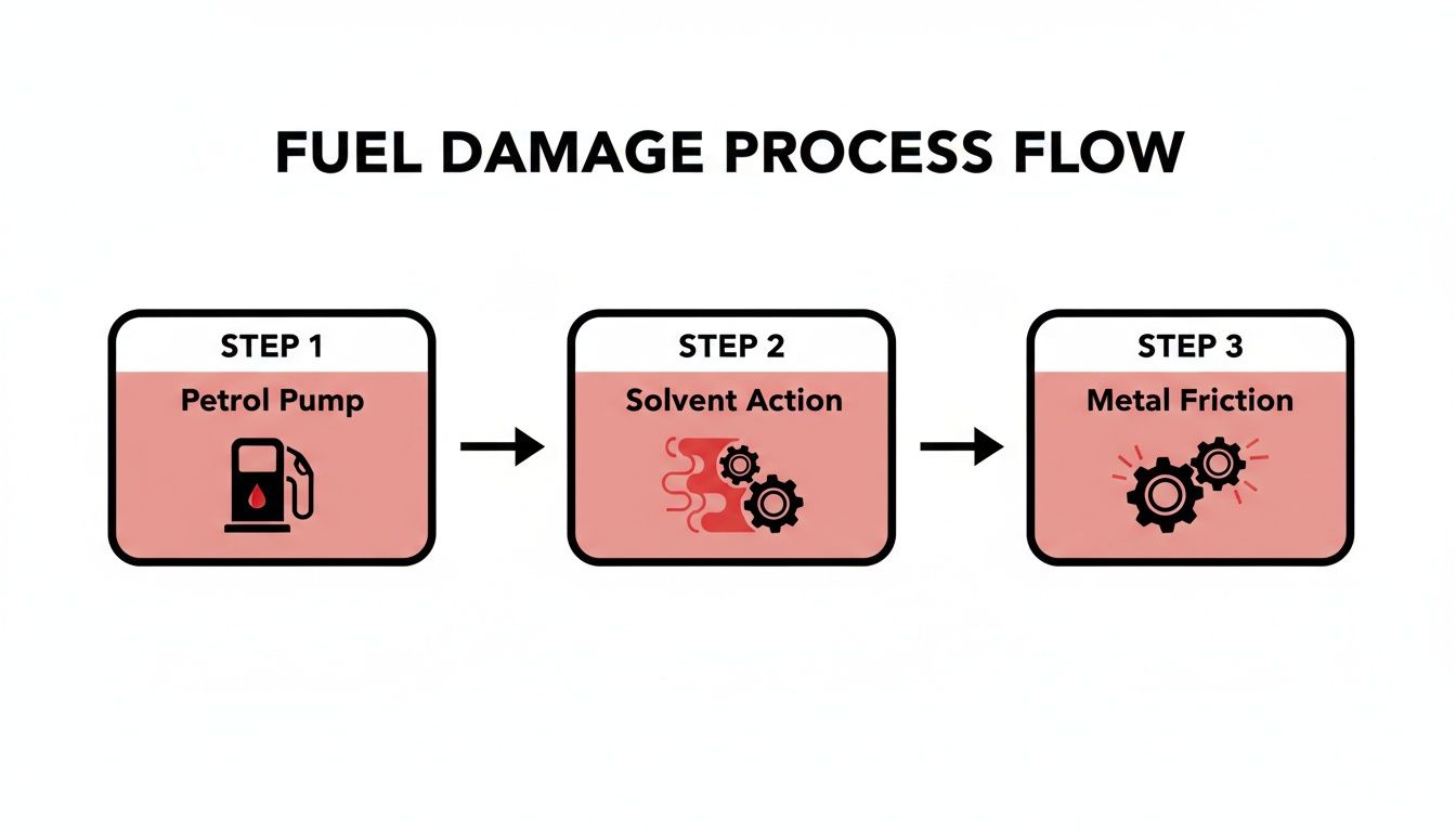 A flowchart illustrates the three-step fuel damage process: petrol pump, solvent action, and metal friction.