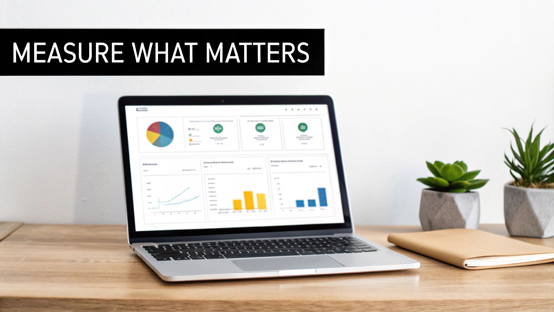 Laptop displaying colorful analytics dashboard with charts and graphs on wooden desk with plants