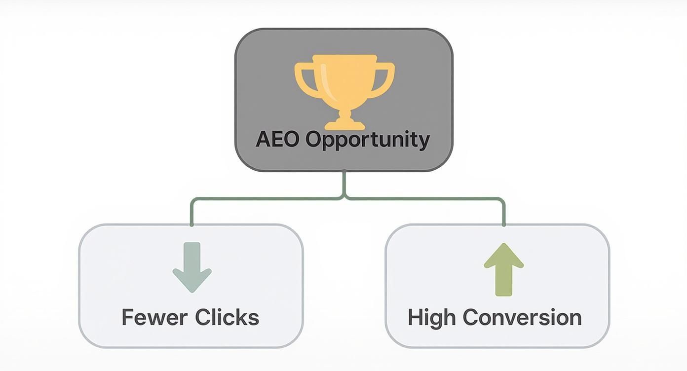 Infographic about what is answer engine optimization