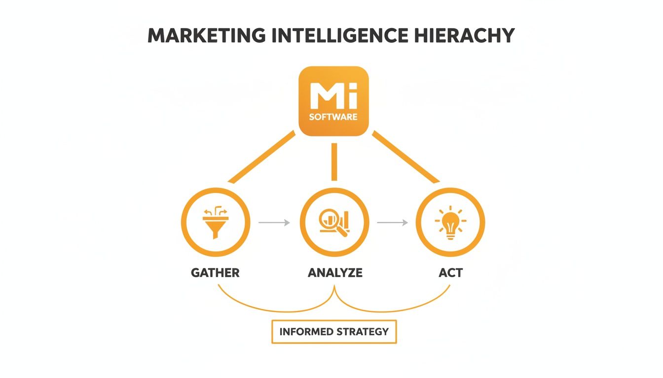 Marketing Intelligence Hierarchy diagram shows Mi Software above gather, analyze, and act for informed strategy.