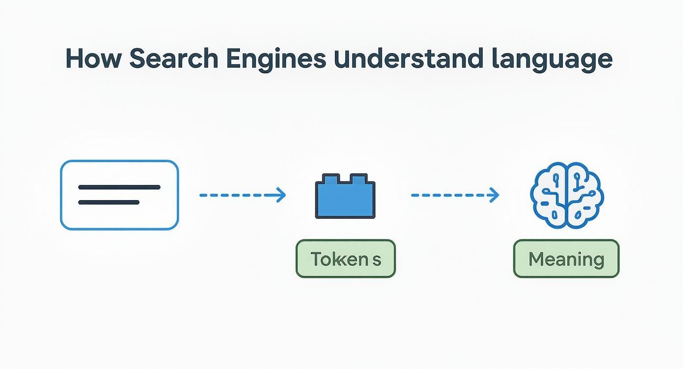 Flowchart showing how search engines understand language by converting text into tokens to derive meaning.