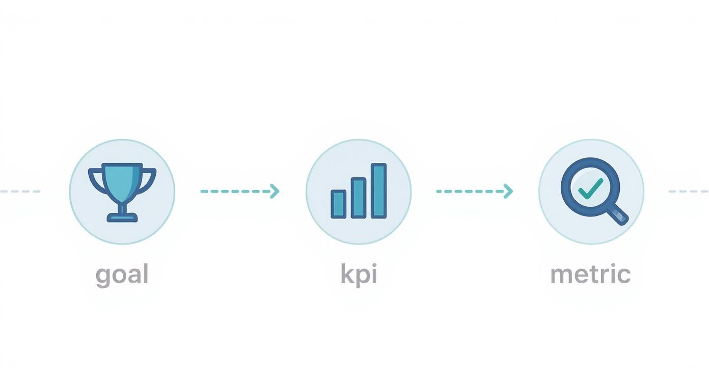 Infographic about custom seo dashboard