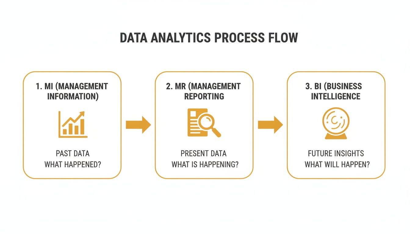 Infographic illustrating the data analytics process from past data to future insights.