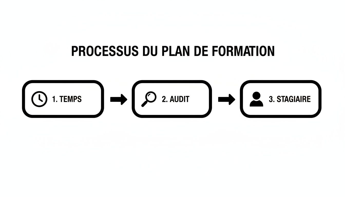 Diagramme de processus du plan de formation, illustrant les étapes chronologiques : temps, audit et stagiaire.