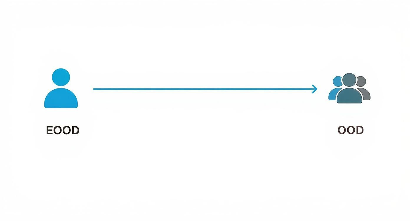 Infographic about Créer entreprise Bulgarie