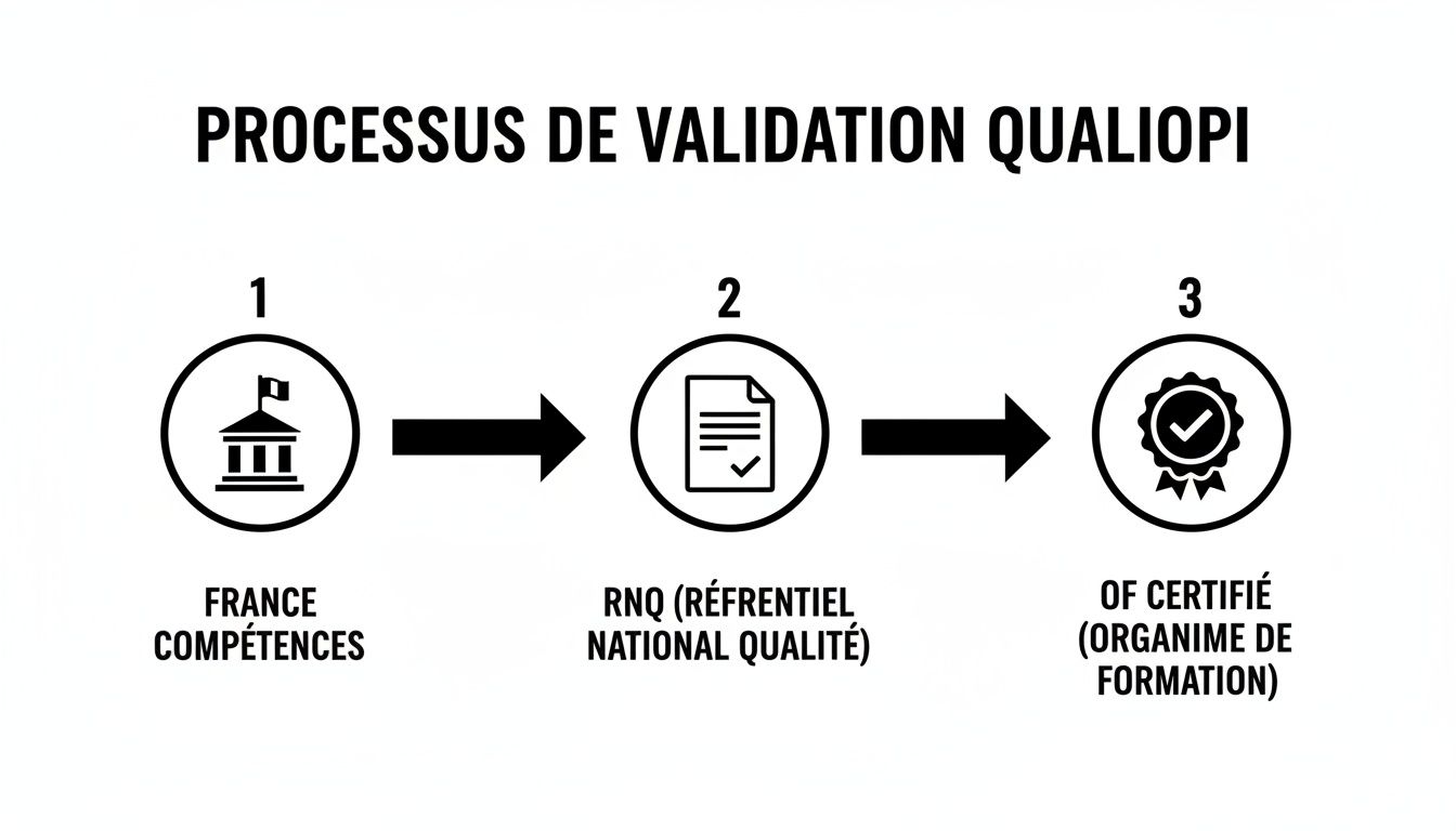 Diagramme visuel du processus de validation Qualiopi, montrant les étapes de France Compétences, RNQ et l'organisme de formation certifié.