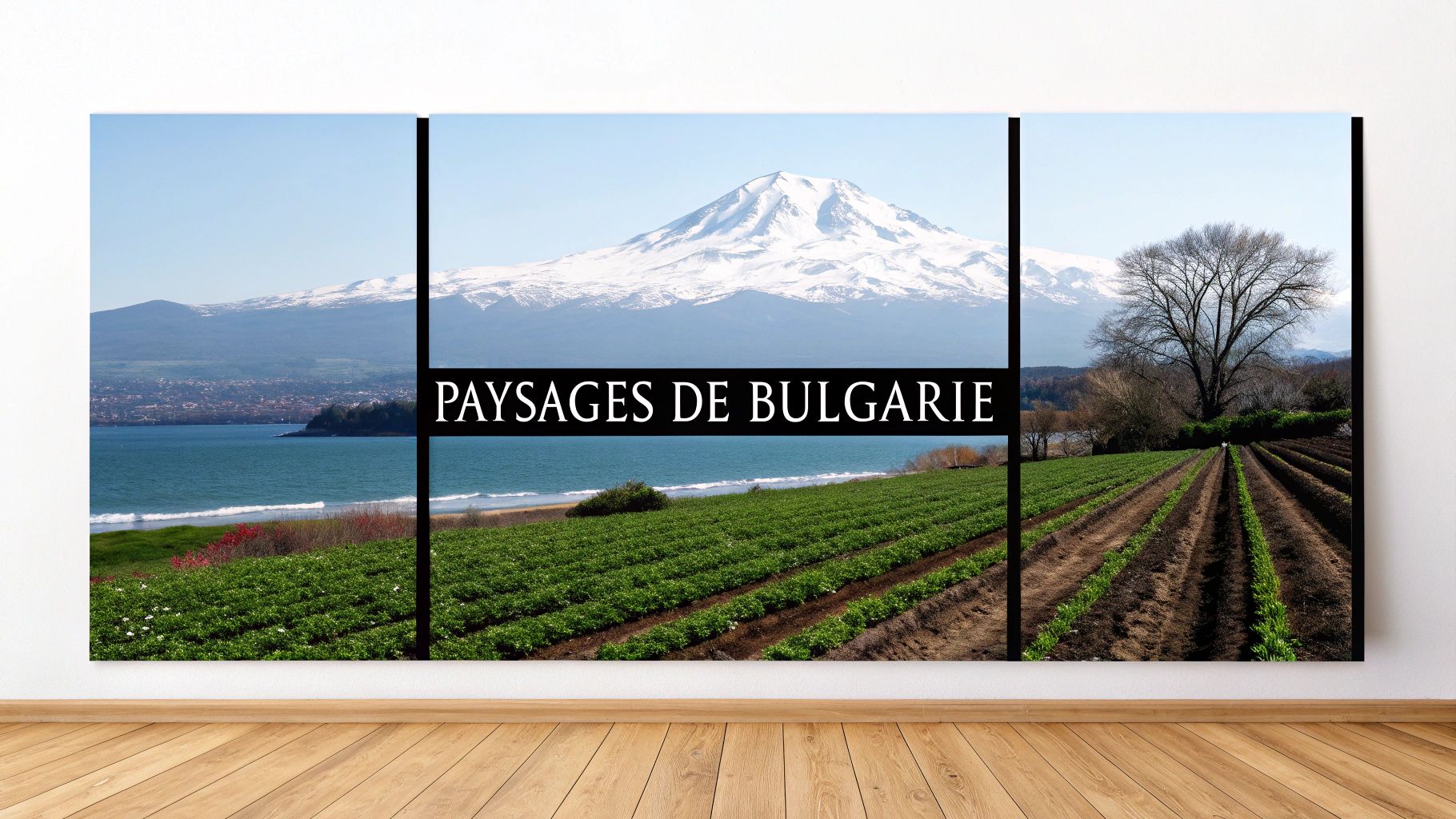 Paysage montagneux verdoyant en Bulgarie