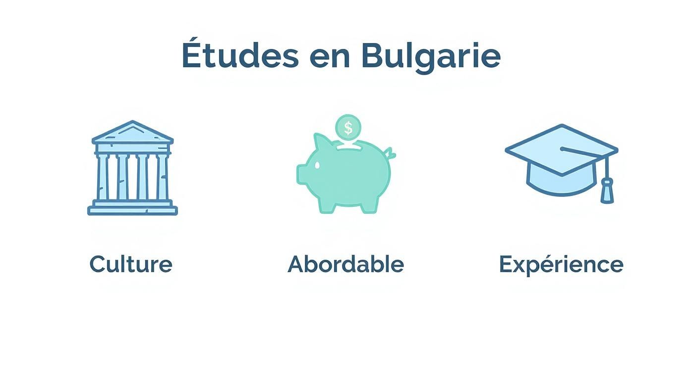 Infographie sur les atouts des études en Bulgarie : Culture, Abordable, Expérience