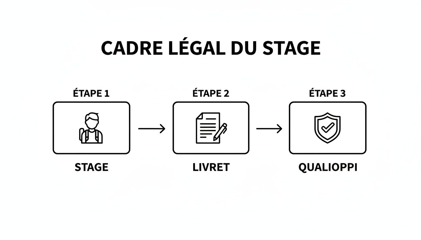 Schéma illustrant les trois étapes du cadre légal d'un stage : stage, livret et Qualiopi.