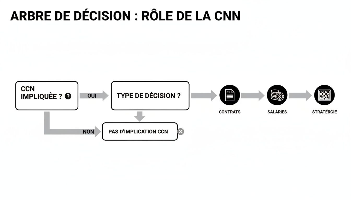 Diagramme d'arbre de décision sur le rôle de la CCN, avec des branches pour l'implication dans les contrats, salaires et stratégie.