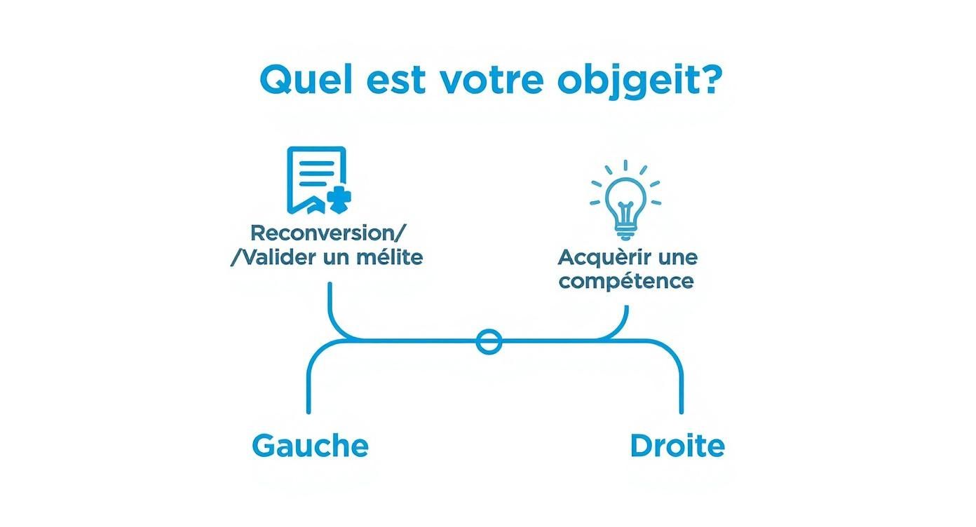 Infographic about formation qualifiante ou certifiante