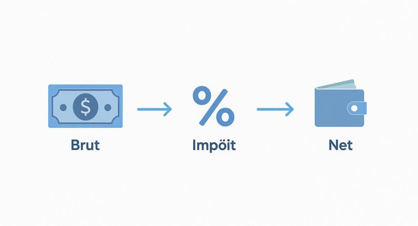 Infographie illustrant le passage du salaire brut au net en Bulgarie, avec des icônes pour le brut, l'impôt et le net.