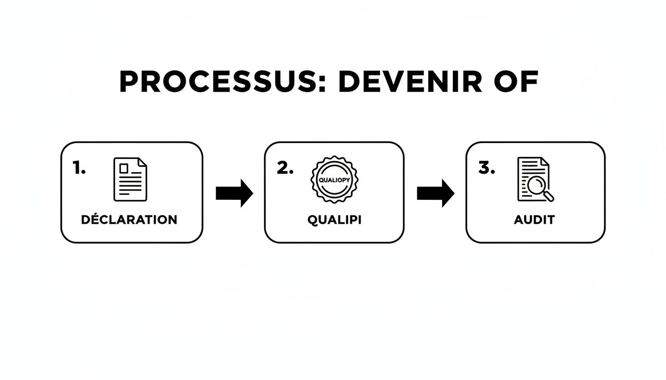 Un processus en trois étapes pour devenir organisme de formation agréé : déclaration, Qualiopi et audit.