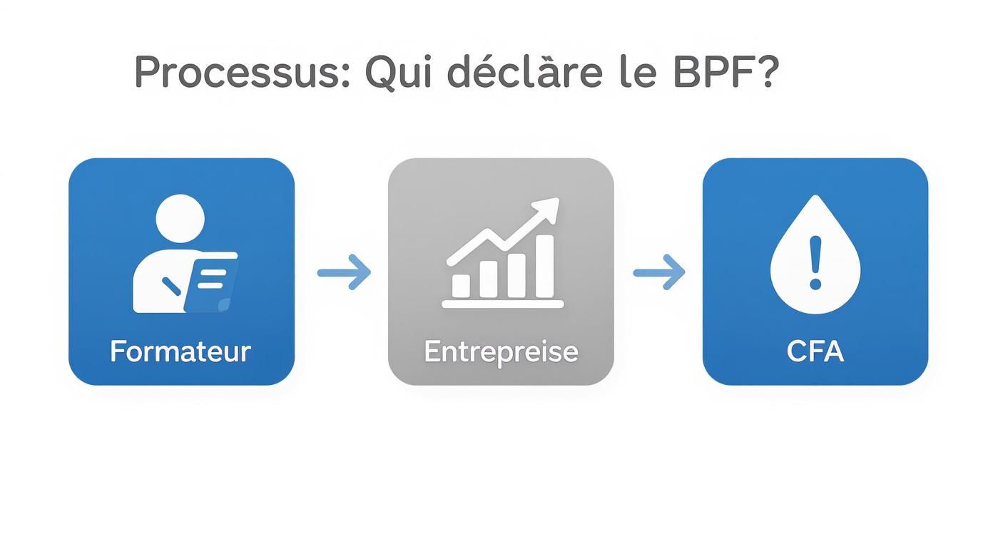 Infographic about bilan pédagogique et financier
