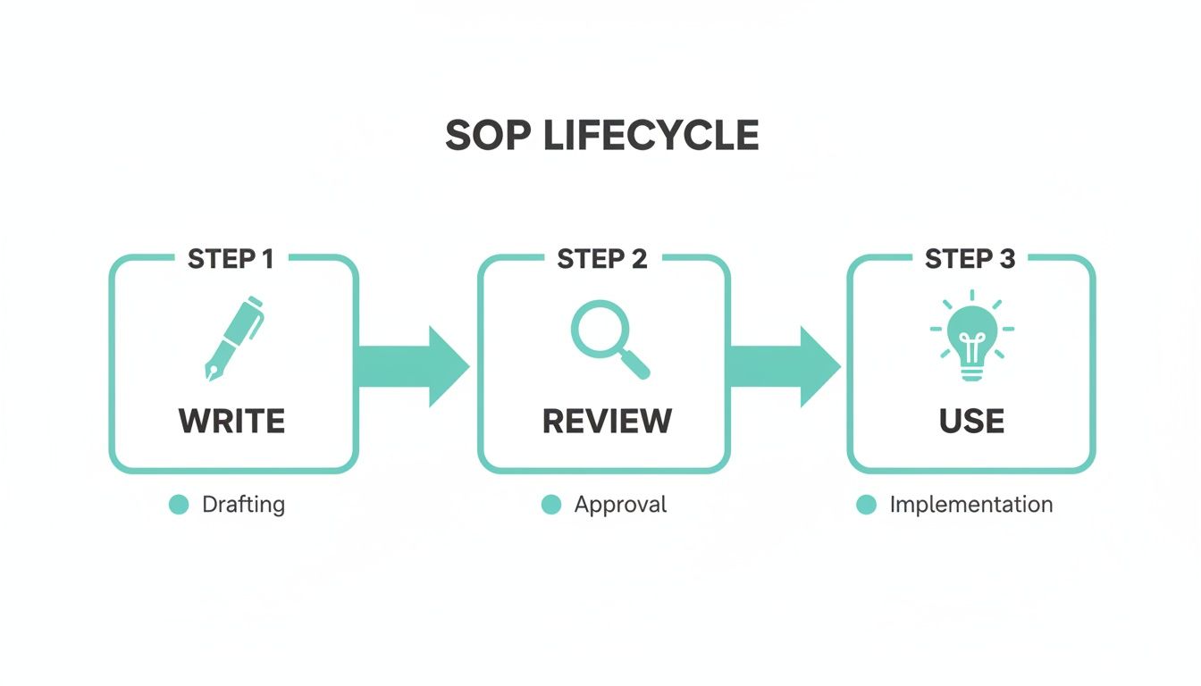 Diagram showing the SOP lifecycle with steps: write (drafting), review (approval), and use (implementation).
