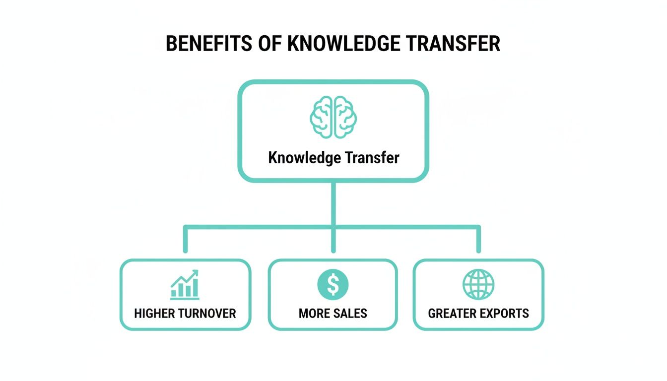 A diagram illustrates the benefits of knowledge transfer: higher turnover, more sales, and greater exports.
