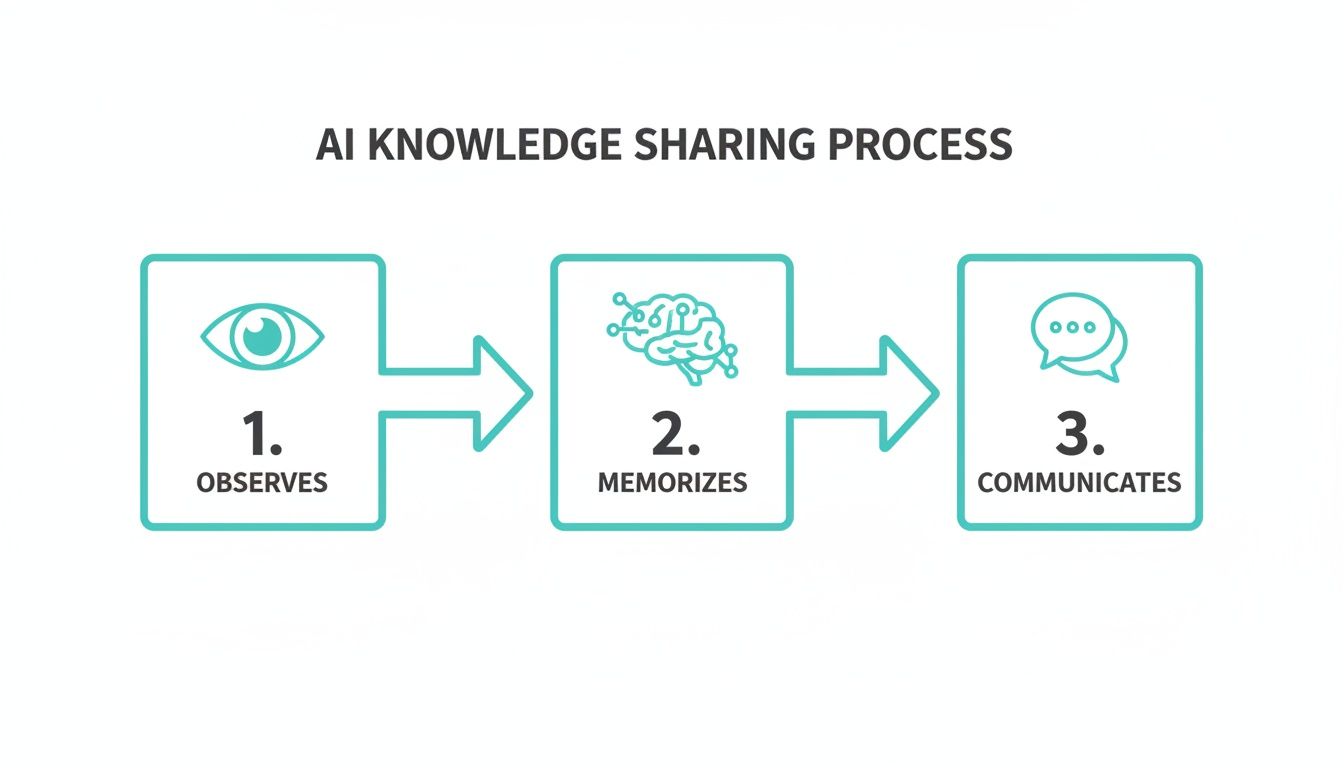 A flowchart illustrating the AI knowledge sharing process: observes, memorizes, and communicates.