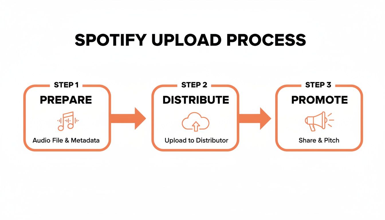 A three-step diagram outlining the Spotify music upload process: prepare, distribute, and promote.