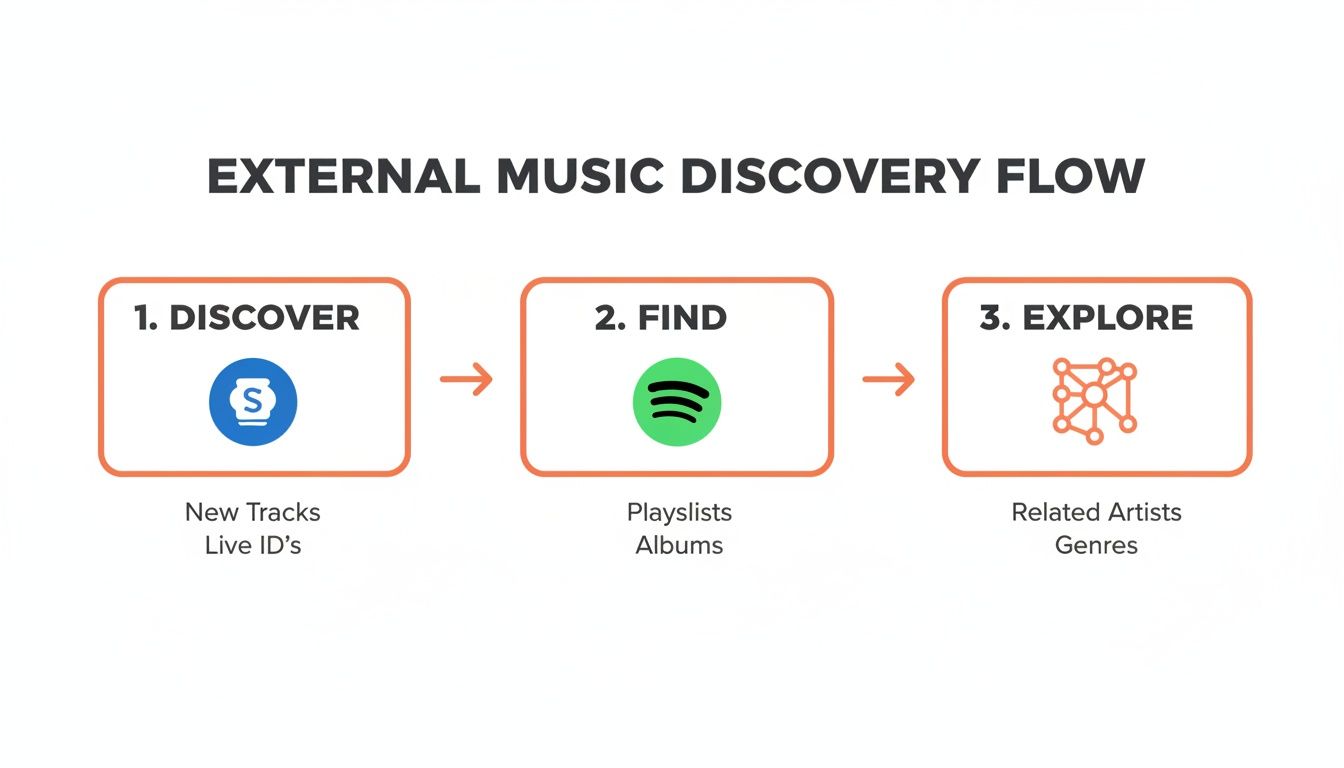 Flow chart detailing external music discovery stages: Discover new tracks, Find playlists/albums, and Explore related artists/genres.