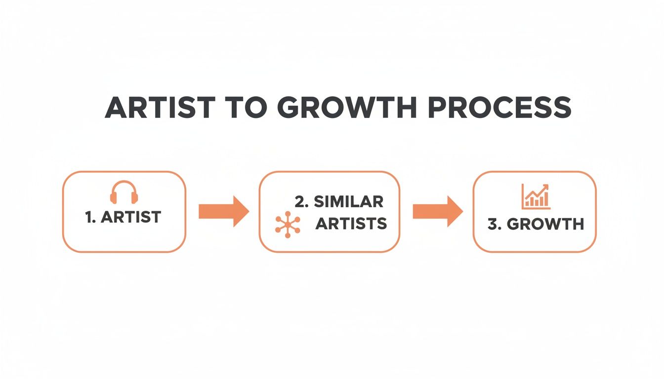 Diagram illustrating the 'Artist to Growth Process' with steps: 1. Artist, 2. Similar Artists, and 3. Growth.