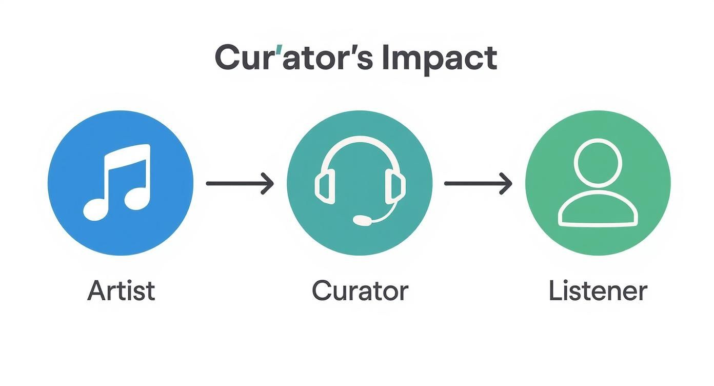 Infographic about how to become a playlist curator