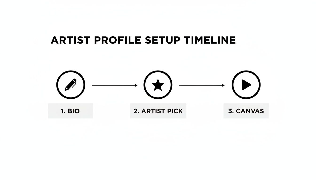 Artist profile setup timeline showing three steps: 1. Bio, 2. Artist Pick, and 3. Canvas.