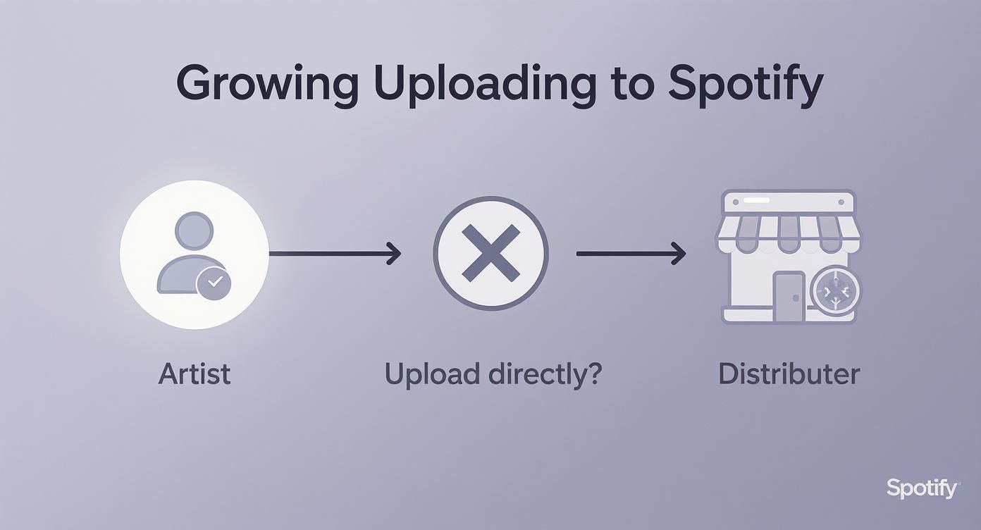 Infographic about how to upload your music to spotify