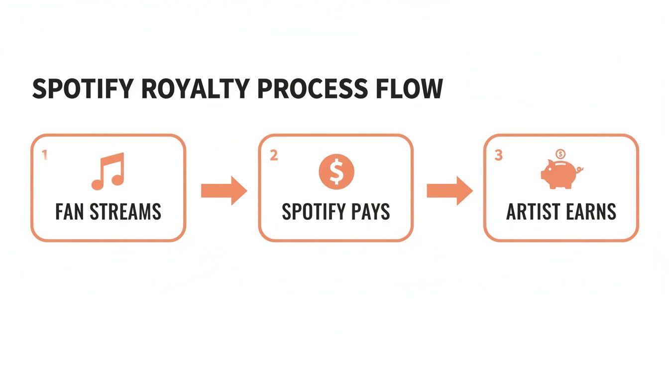 A flowchart showing the Spotify royalty process: fan streams, Spotify pays, and artist earns.