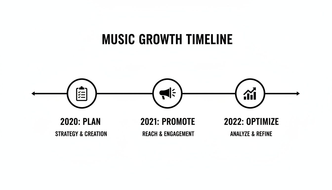 A music growth timeline showing stages: Plan (2020), Promote (2021), and Optimize (2022).