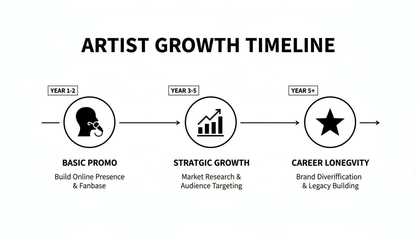 A visual timeline outlining artist growth stages: basic promo, strategic growth, and career longevity.