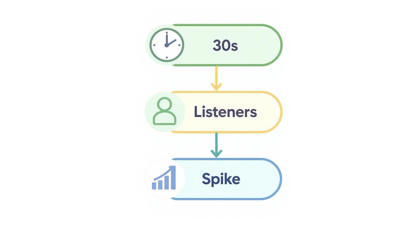 Infographic about how to check spotify streams