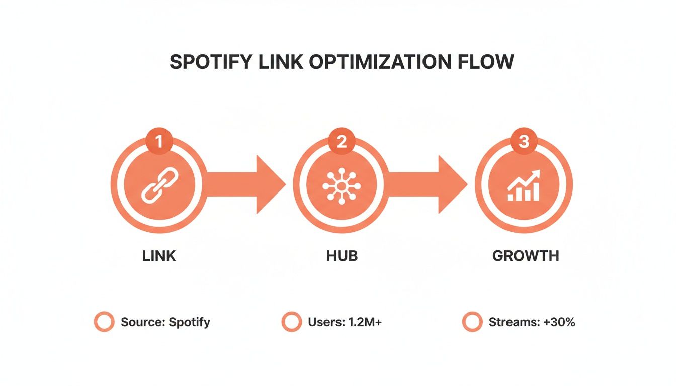 Spotify Link Optimization Flow diagram illustrating steps from link to growth with key metrics.